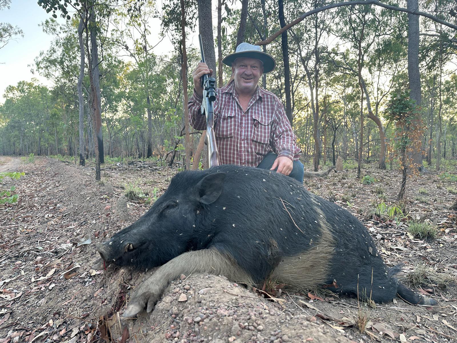KAP MOVES TO ATTACK FERAL PIGS
