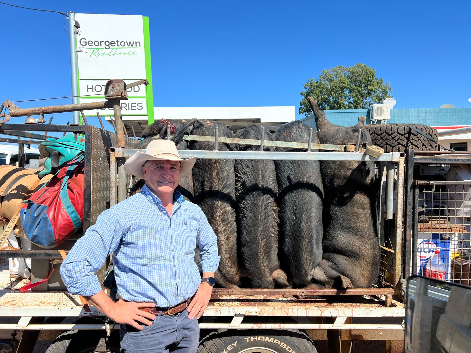‘A Stitch in Time Saves Nine’ – Opportune Time for Feral Pig Action: Katter 